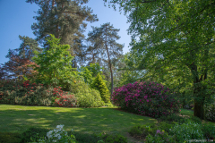 JardindeCallunes007