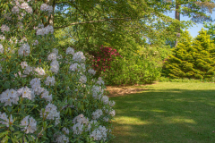 JardindeCallunes008