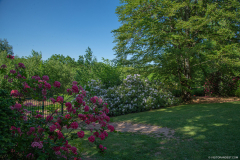 JardindeCallunes009