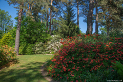 JardindeCallunes011