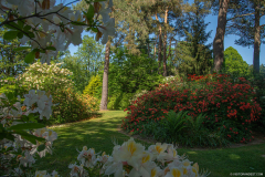 JardindeCallunes012