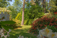 JardindeCallunes013