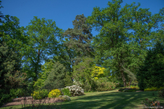 JardindeCallunes015