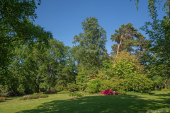 JardindeCallunes016