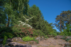 JardindeCallunes017