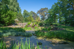 JardindeCallunes018
