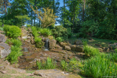 JardindeCallunes019