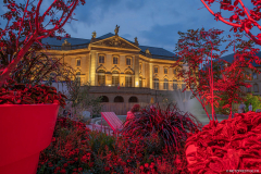 JardinEphemereMetzNight2025j