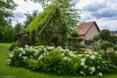 JardinPourLaPaixBitche006
