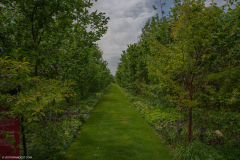 JardinsArsLaquenexy007