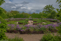 JardinsArsLaquenexy013