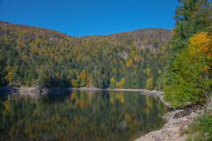 LacAltenweiher001