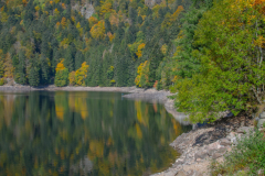 LacAltenweiher002