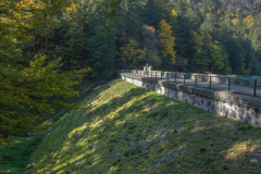 LacAltenweiher005