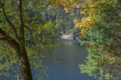 LacAltenweiher008