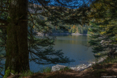 LacAltenweiher010