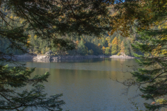 LacAltenweiher011