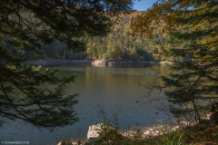 LacAltenweiher012
