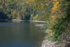 LacAltenweiher014