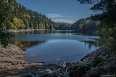 LacAltenweiher031