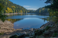 LacAltenweiher032