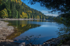 LacAltenweiher033