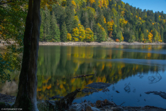 LacAltenweiher037