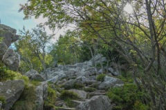 LacBlanc024