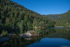 LacdAlfeld001