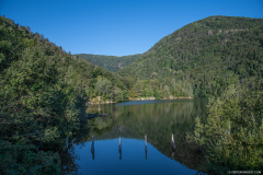 LacdAlfeld002