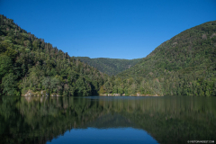 LacdAlfeld003