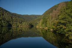 LacdAlfeld005