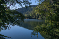 LacdAlfeld006