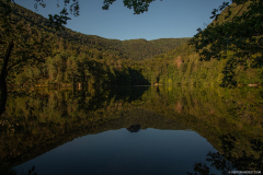 LacdAlfeld008