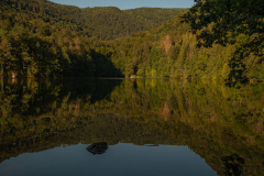 LacdAlfeld009