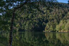 LacdAlfeld010