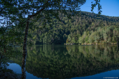 LacdAlfeld011