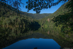 LacdAlfeld014