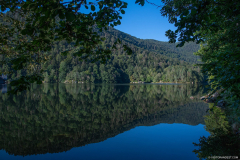 LacdAlfeld015