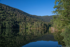 LacdAlfeld017