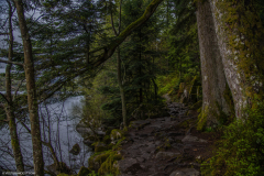 LacdeGerardmer001