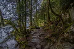 LacdeGerardmer003