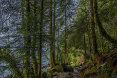 LacdeGerardmer004