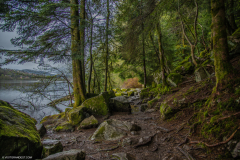LacdeGerardmer005