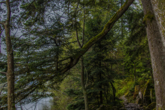 LacdeGerardmer006