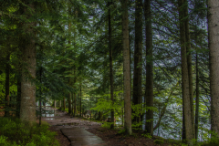 LacdeGerardmer007