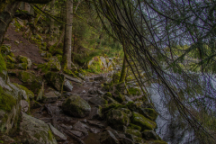 LacdeGerardmer008