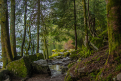 LacdeGerardmer009