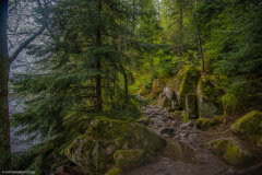 LacdeGerardmer010