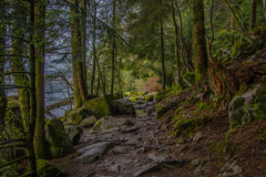 LacdeGerardmer011